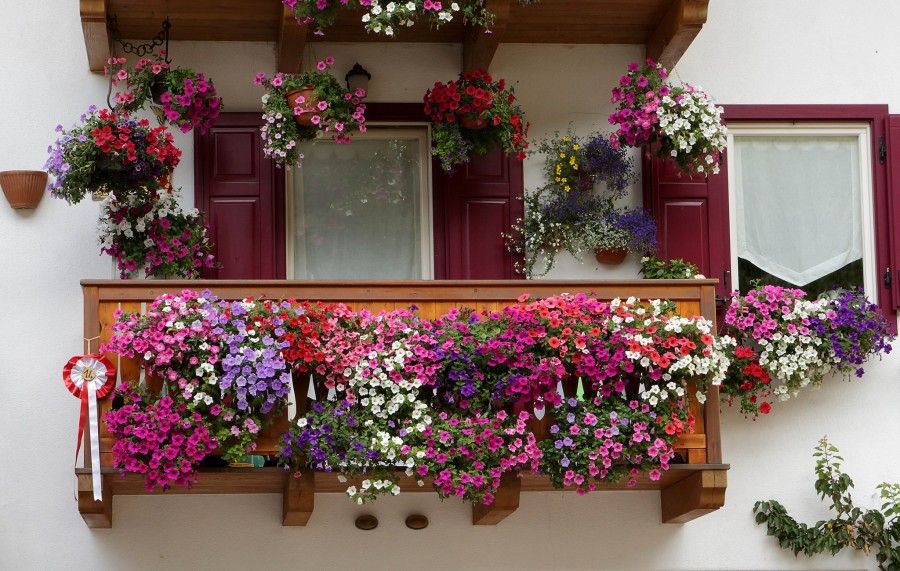 Balcone fiorito