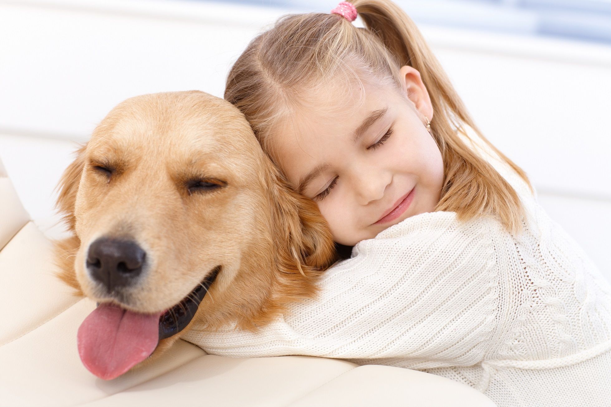 Si possono abbracciare i cani?