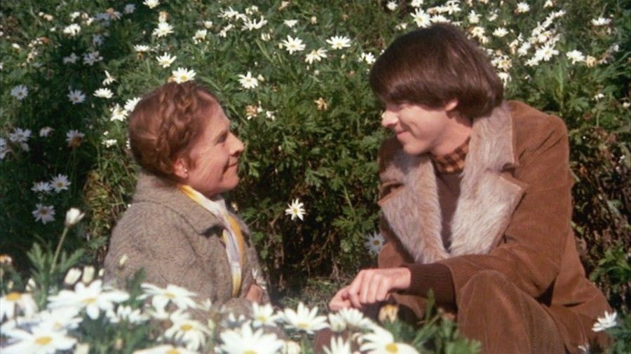 Harold e Maude