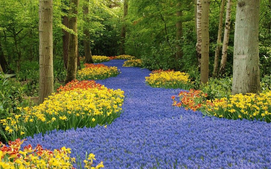 Keukenhof-5