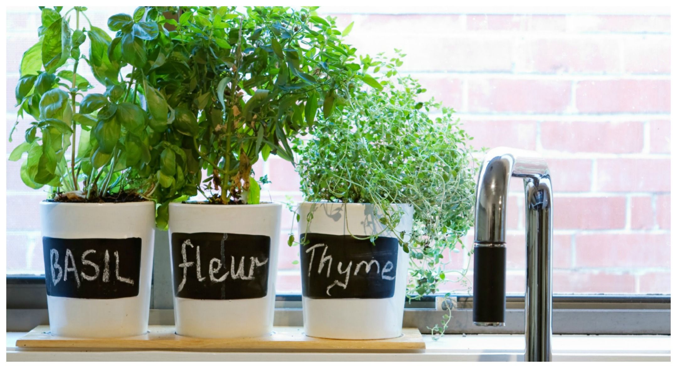 Come decorare la tua cucina con le erbe aromatiche