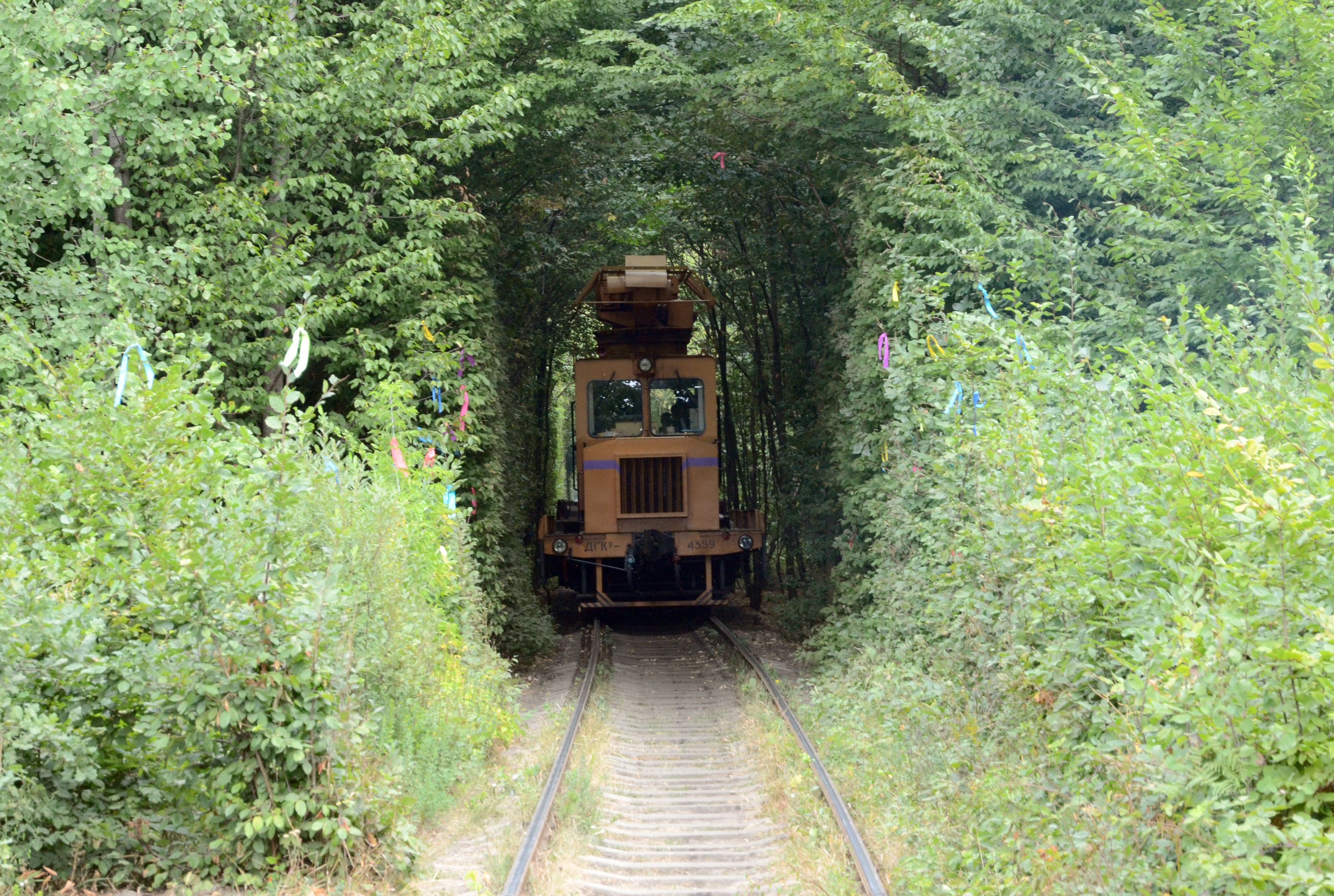 Tunnel of love Train