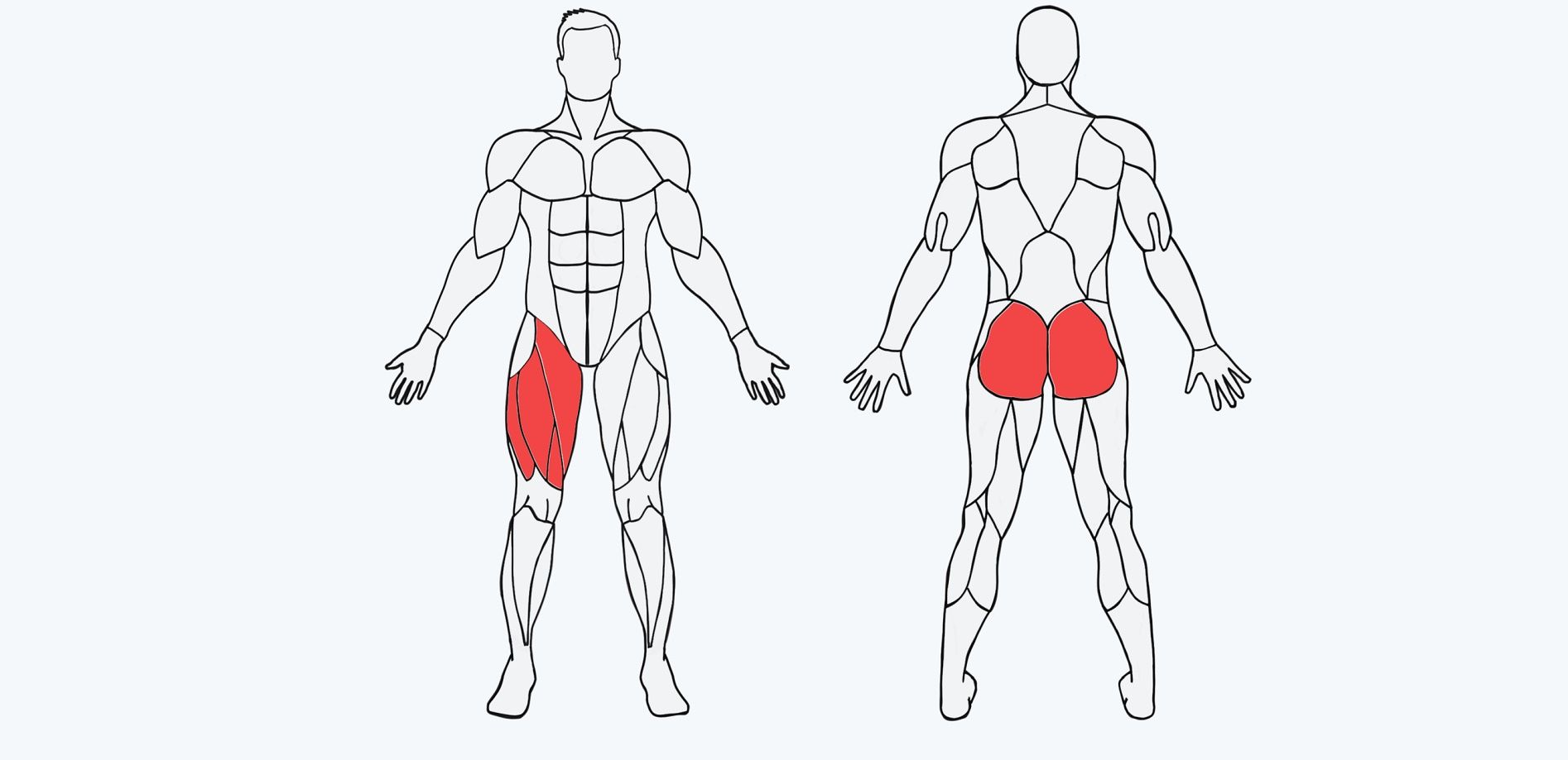 Seleziona il muscolo e scopri l’allenamento giusto