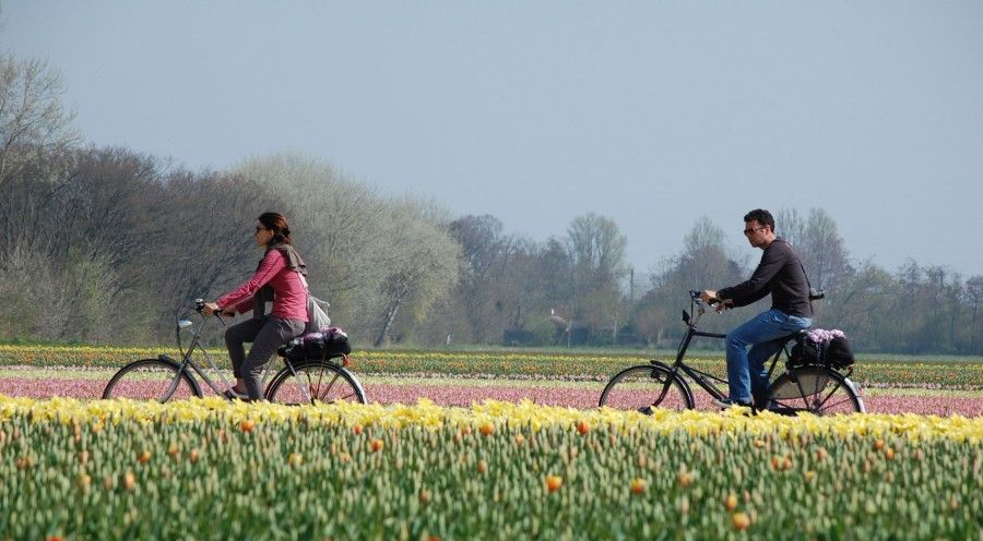 cid44243_fullimage_Fietsen-Dutch-Bike-Tours