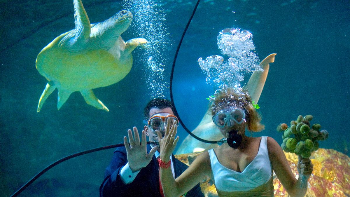 Matrimoni insoliti: ecco come dirsi sì sott’acqua