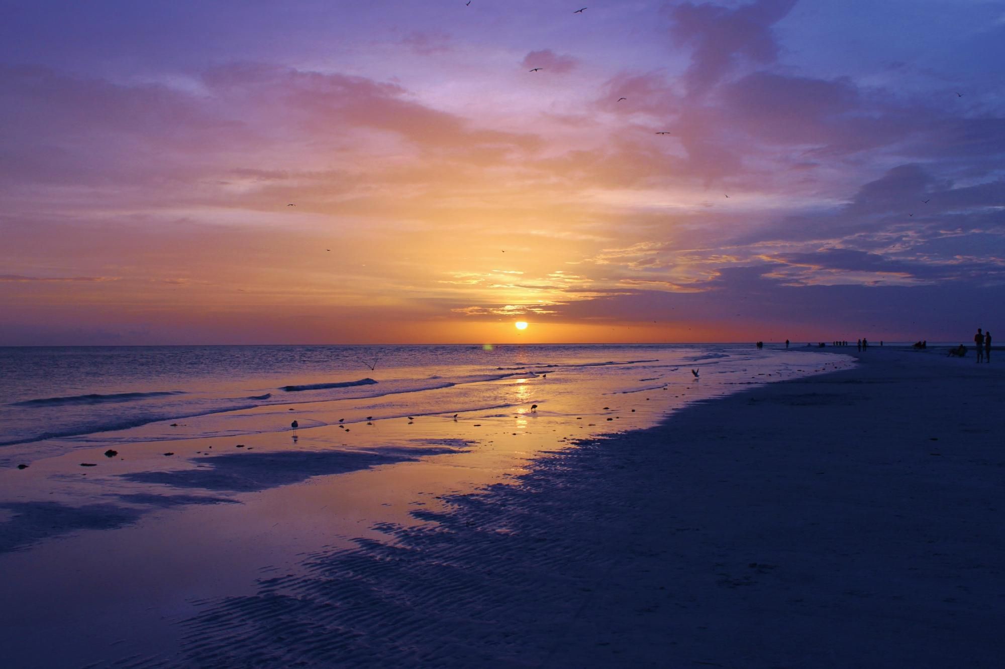 spiagge-siesta-key