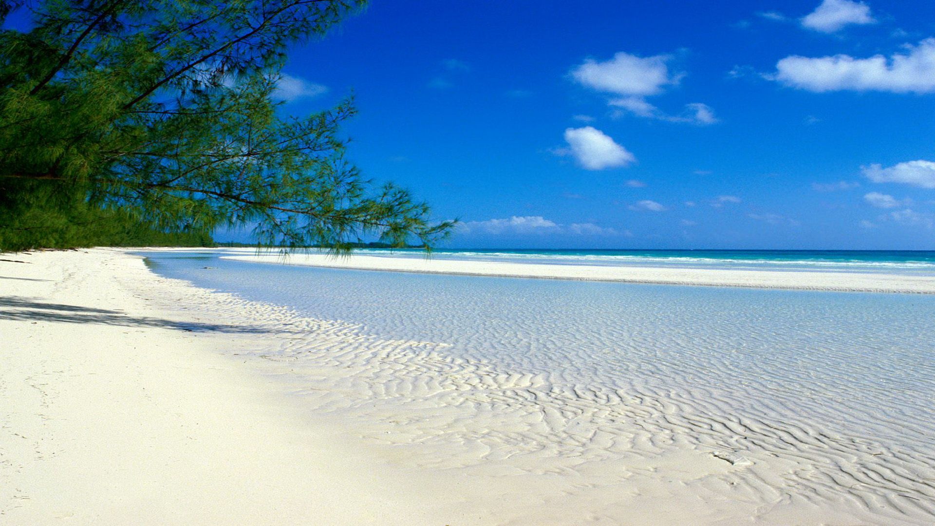 I 4 benefici di una giornata in spiaggia