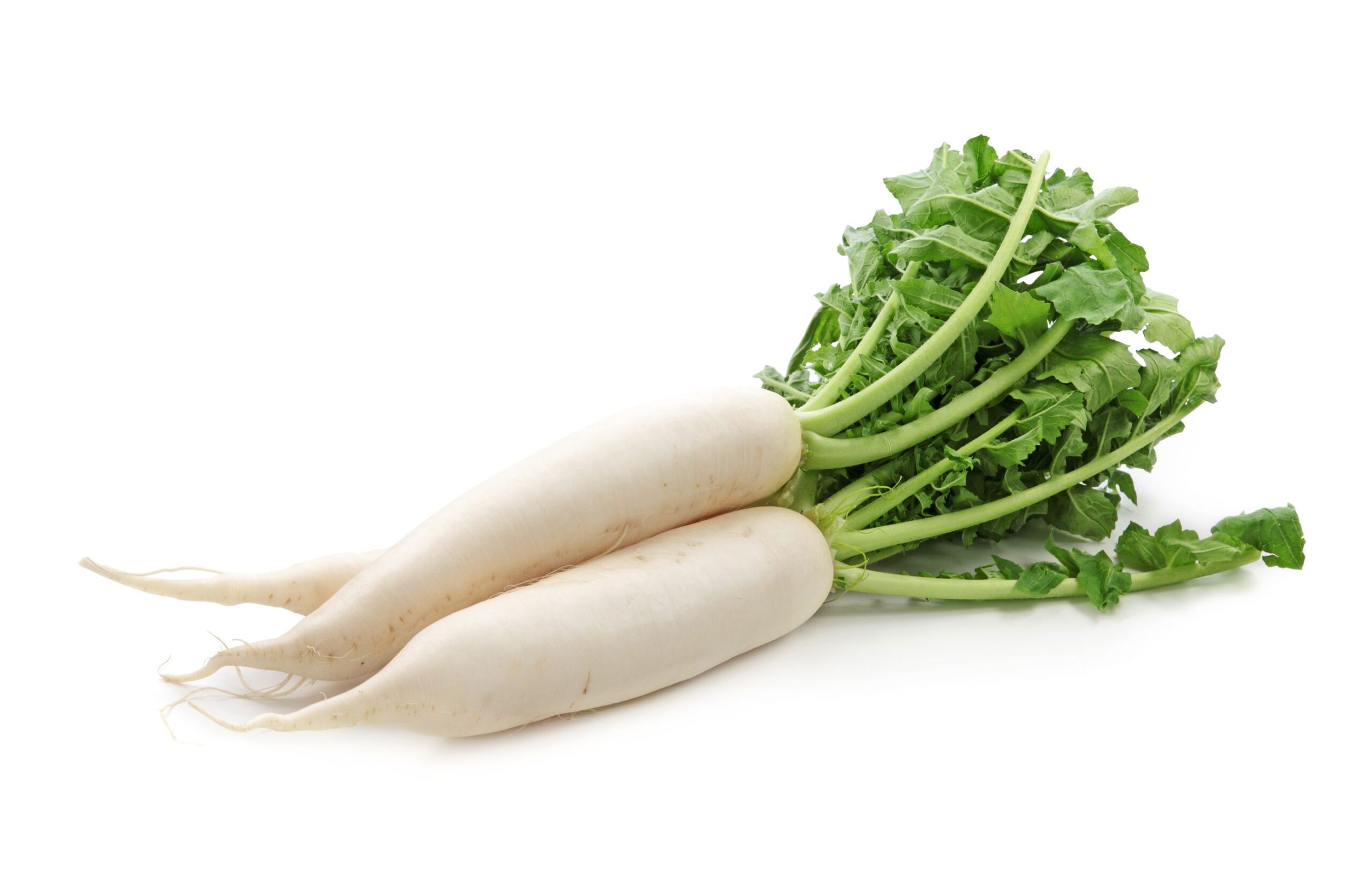 Tutto ciò che dovresti sapere sulla carota bianca Daikon