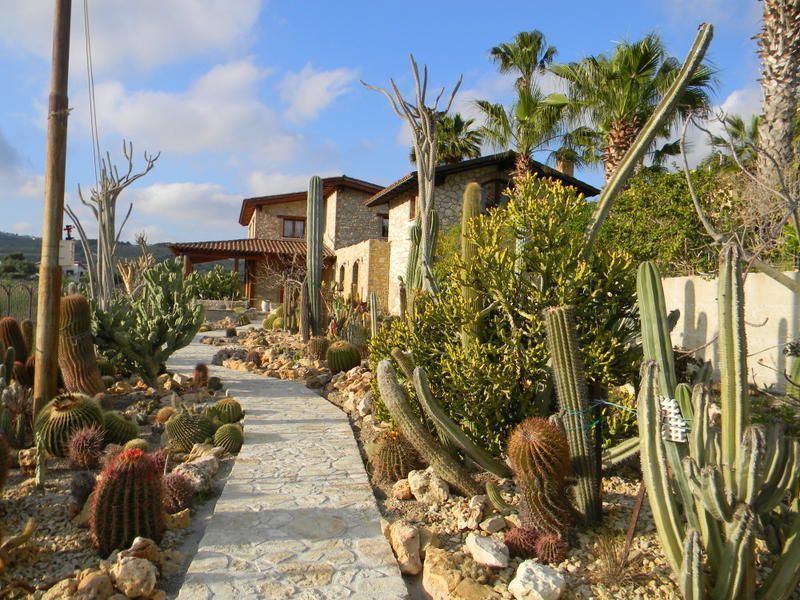 Garden Cactus B&B