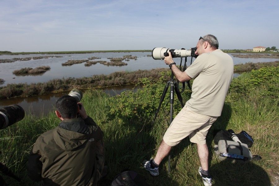 Escursioni di primavera sul delta del po