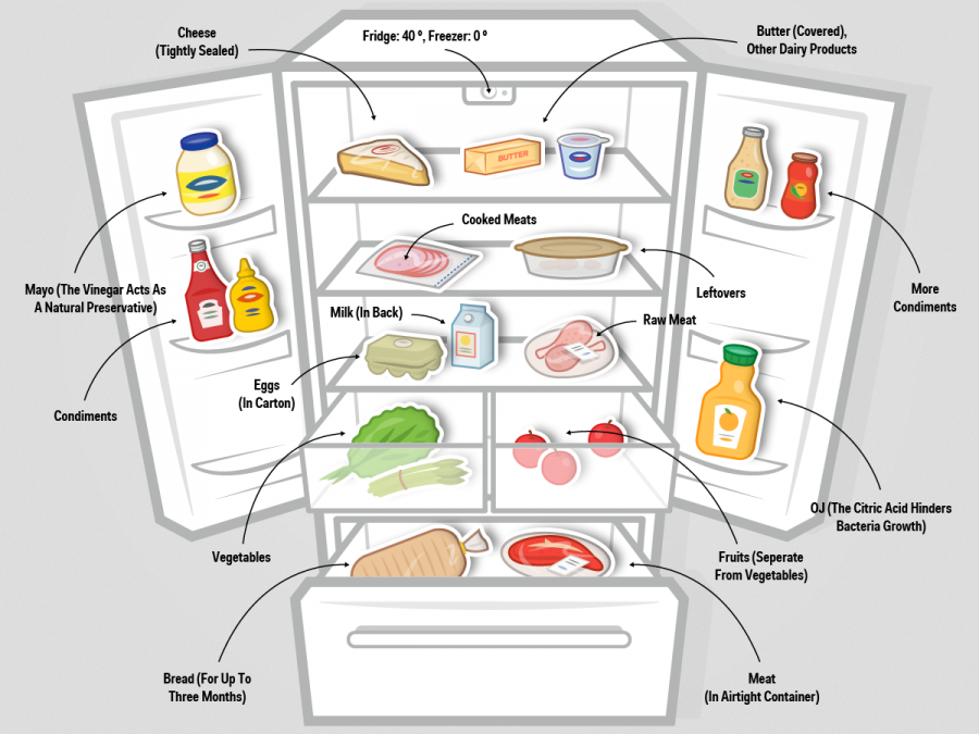 cibo-frigo