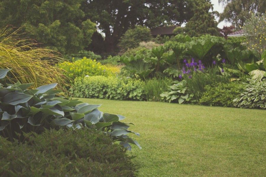 garden (1)