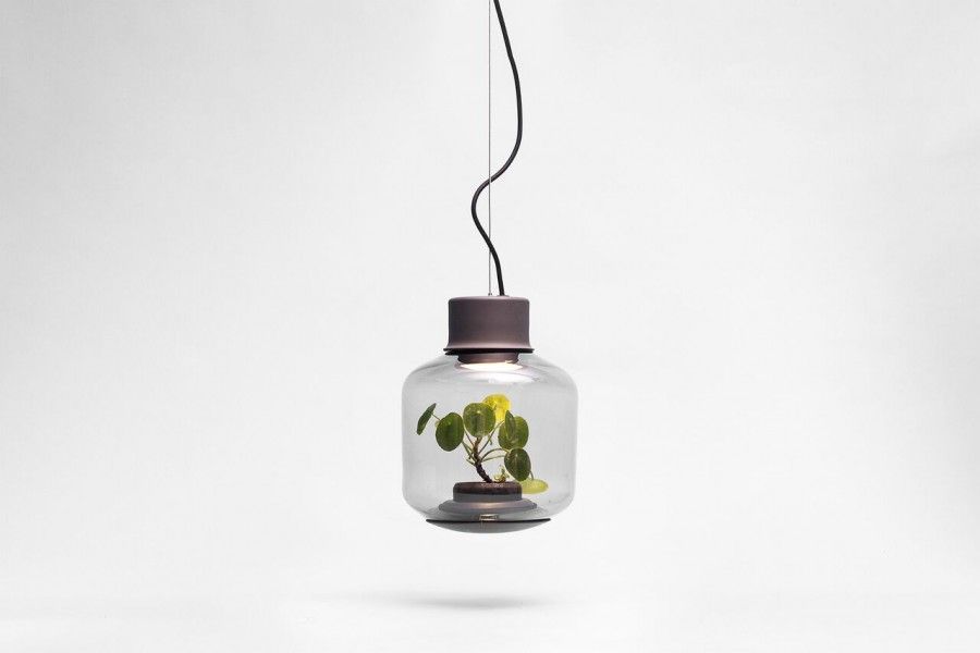 Nui LAMP MYGDAL