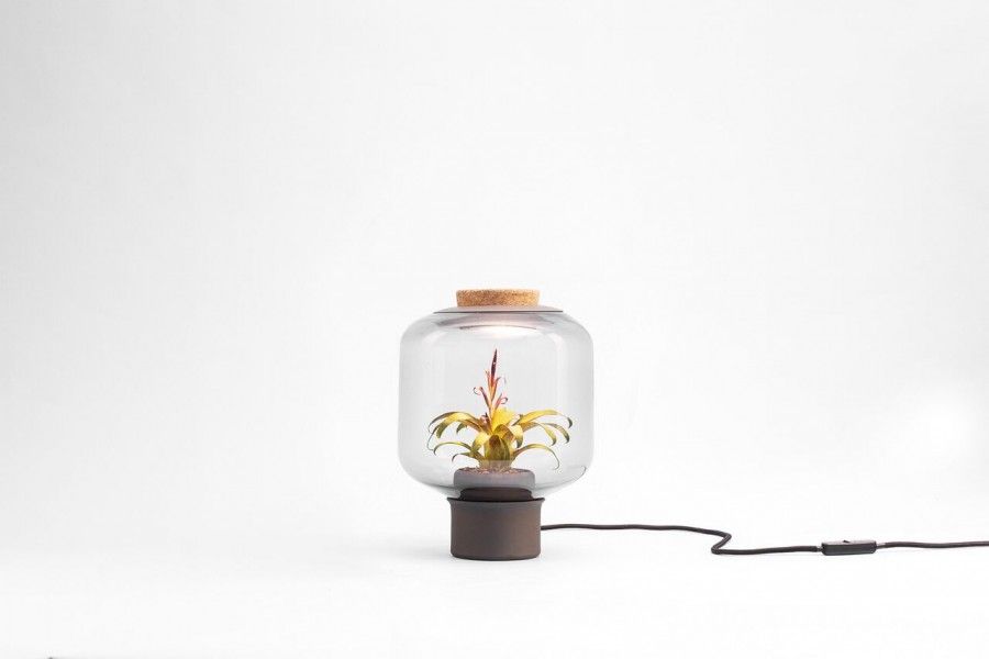 Nui LAMP MYGDAL