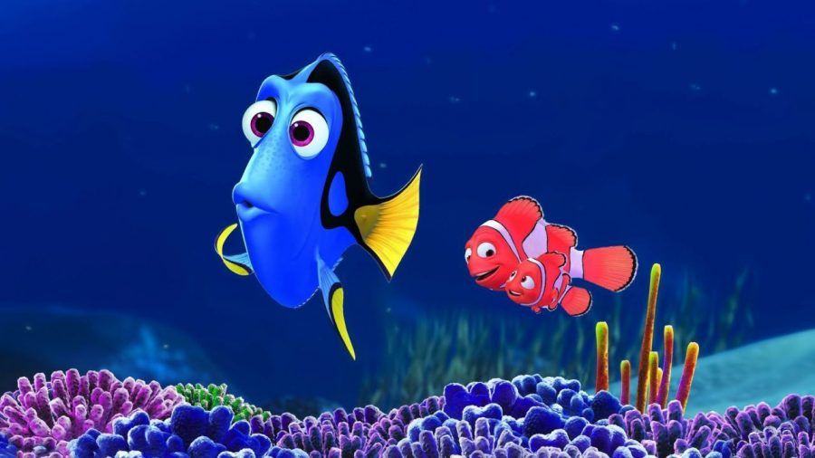 Alla ricerca di Dory