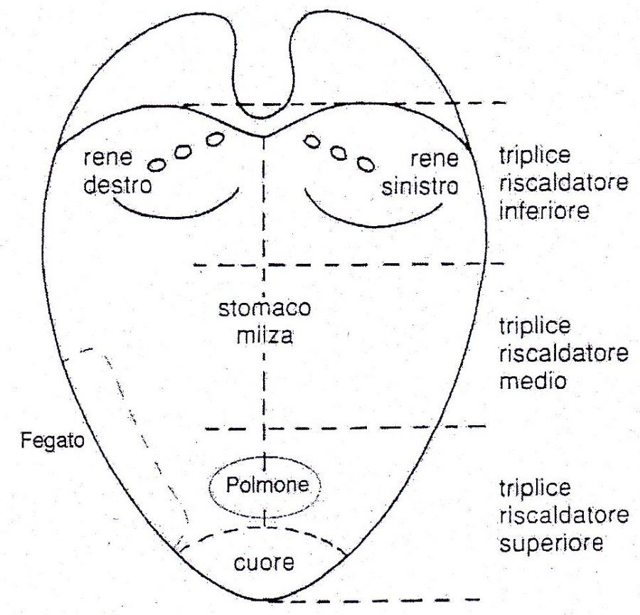 Mappa della lingua