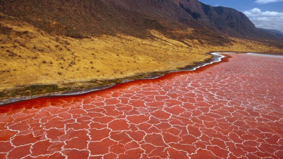 Soda-Formations-On-The-Surface-Of-Lake-Natron-Tanzania-1920x1080