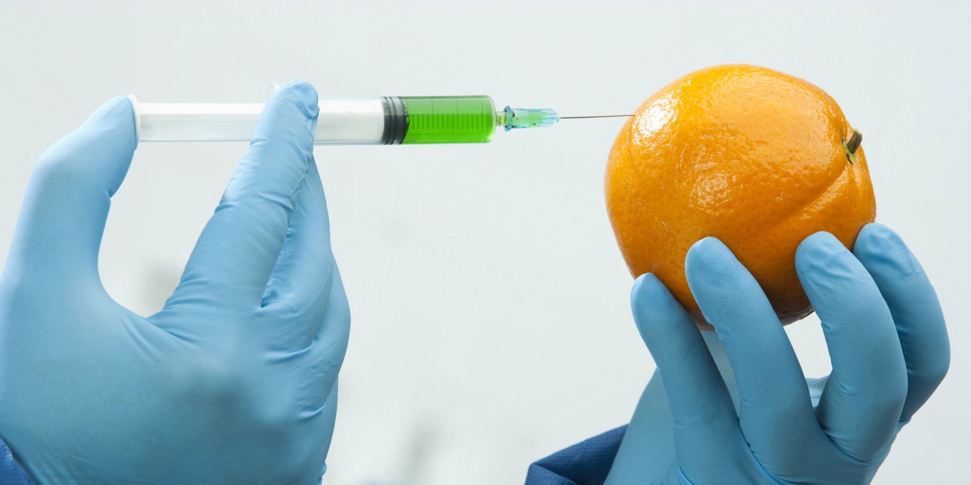 OGM, pro e contro da sapere sugli organismi geneticamente modificati