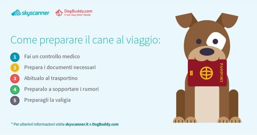 vacanze-con-il-cane2