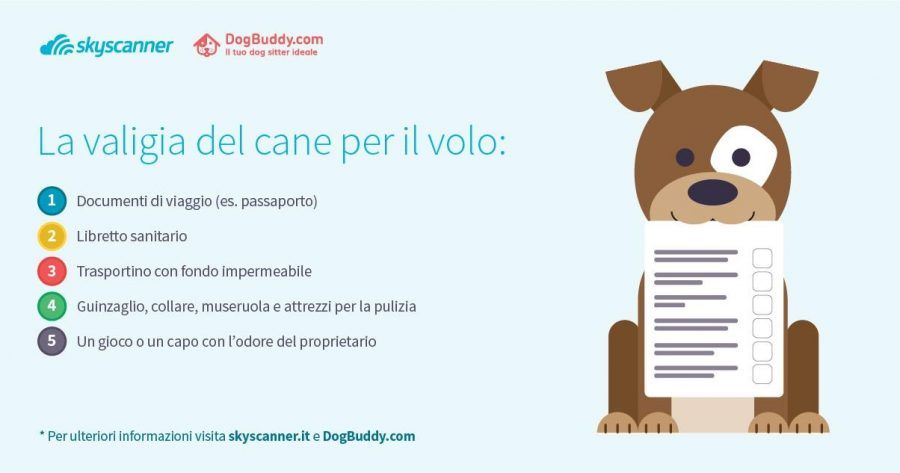 vacanze-con-il-cane5