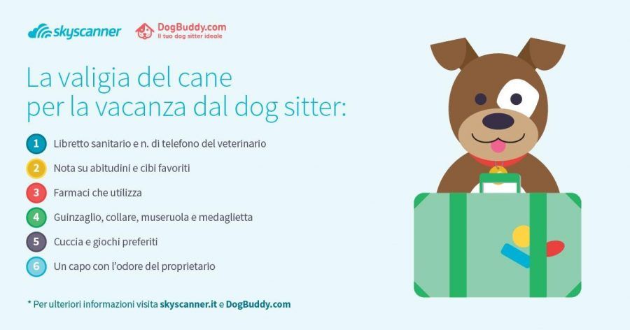 vacanze-con-il-cane6