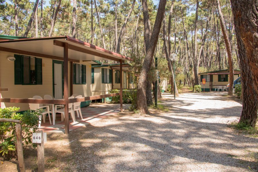 Camping Baia Verde di Punta Ala