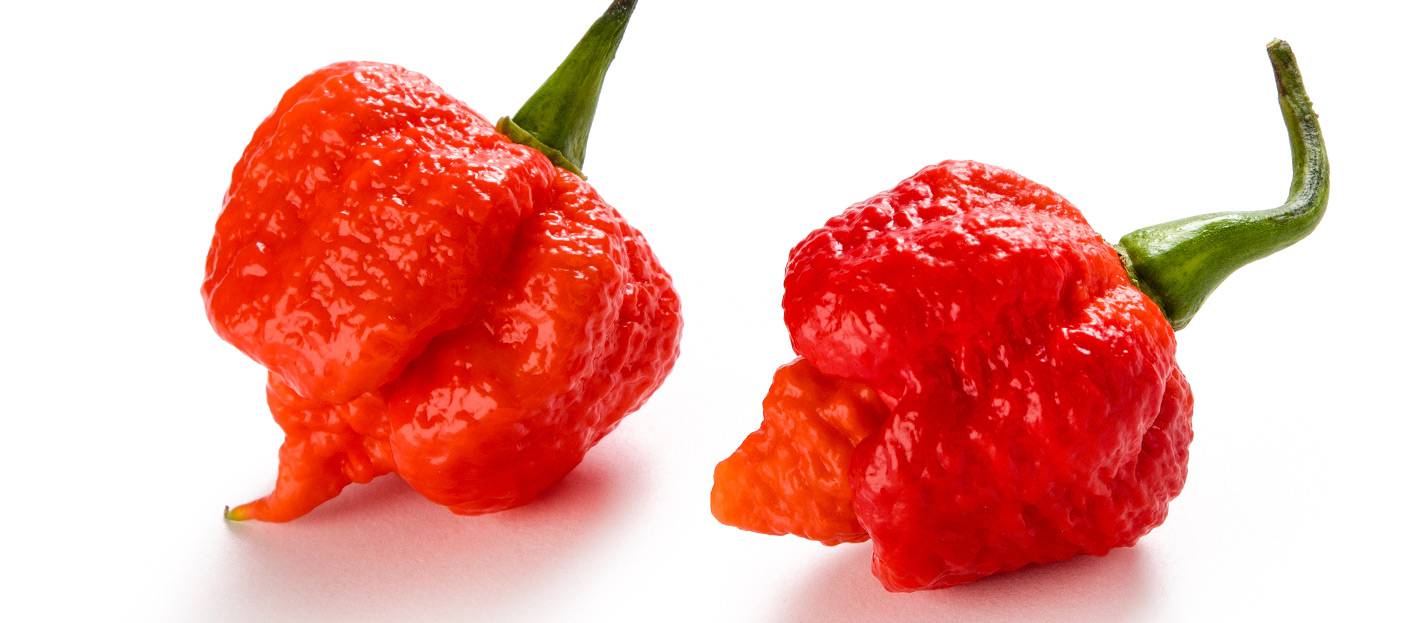 Cosa succede quando si mangia il peperoncino più piccante del mondo?