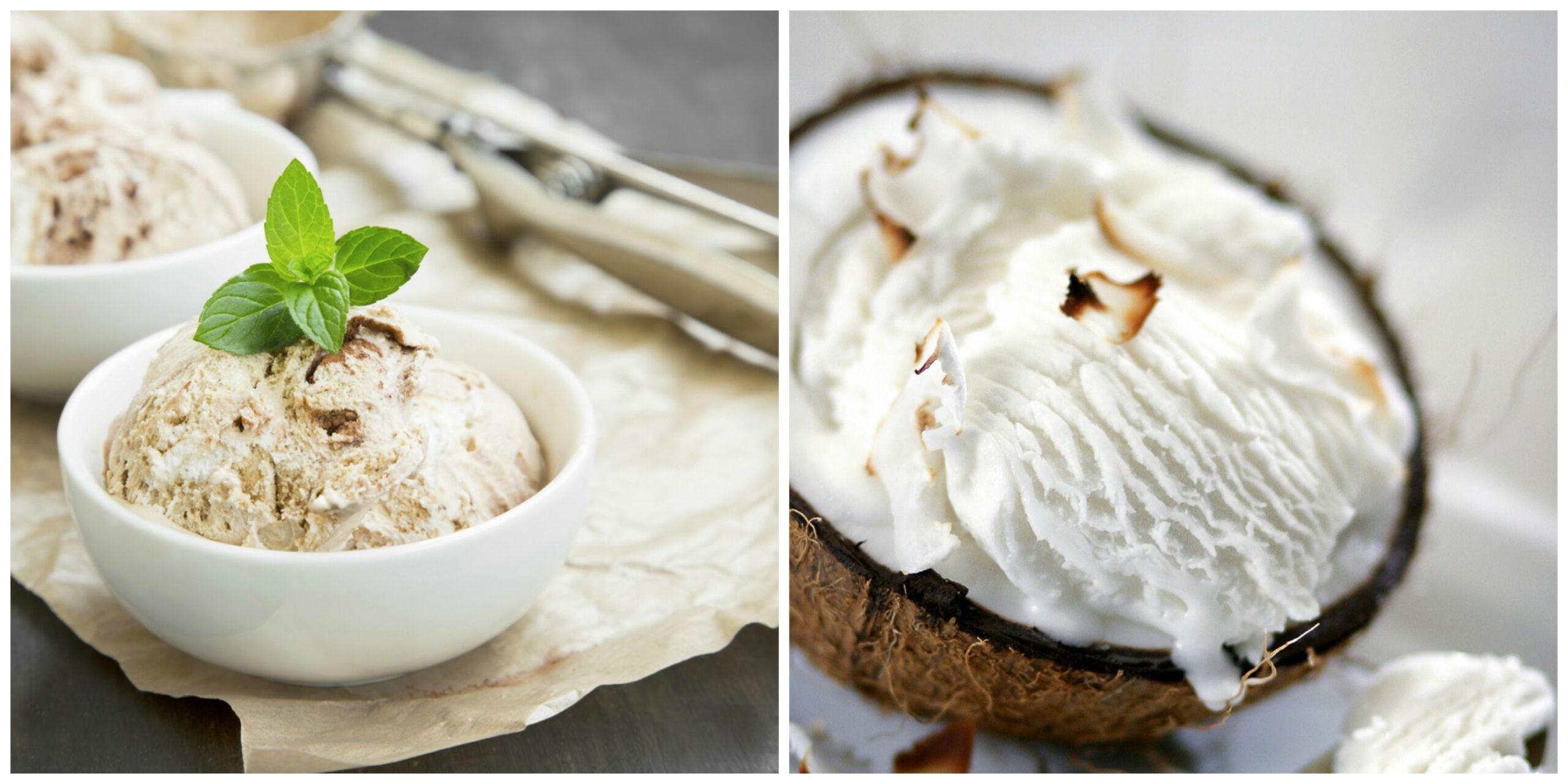 Ricetta Bimby: il gelato al cocco