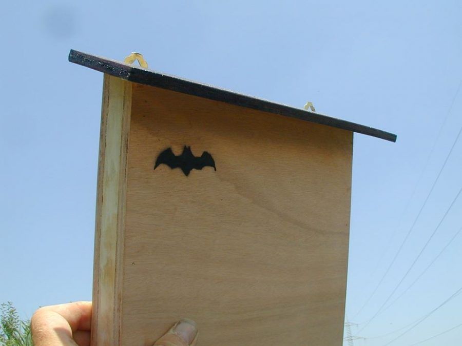 batbox2