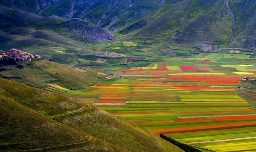 castelluccio-di-norcia1