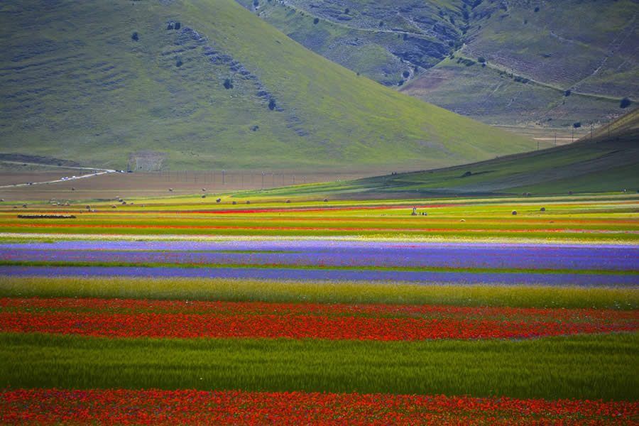 castelluccio-di-norcia3