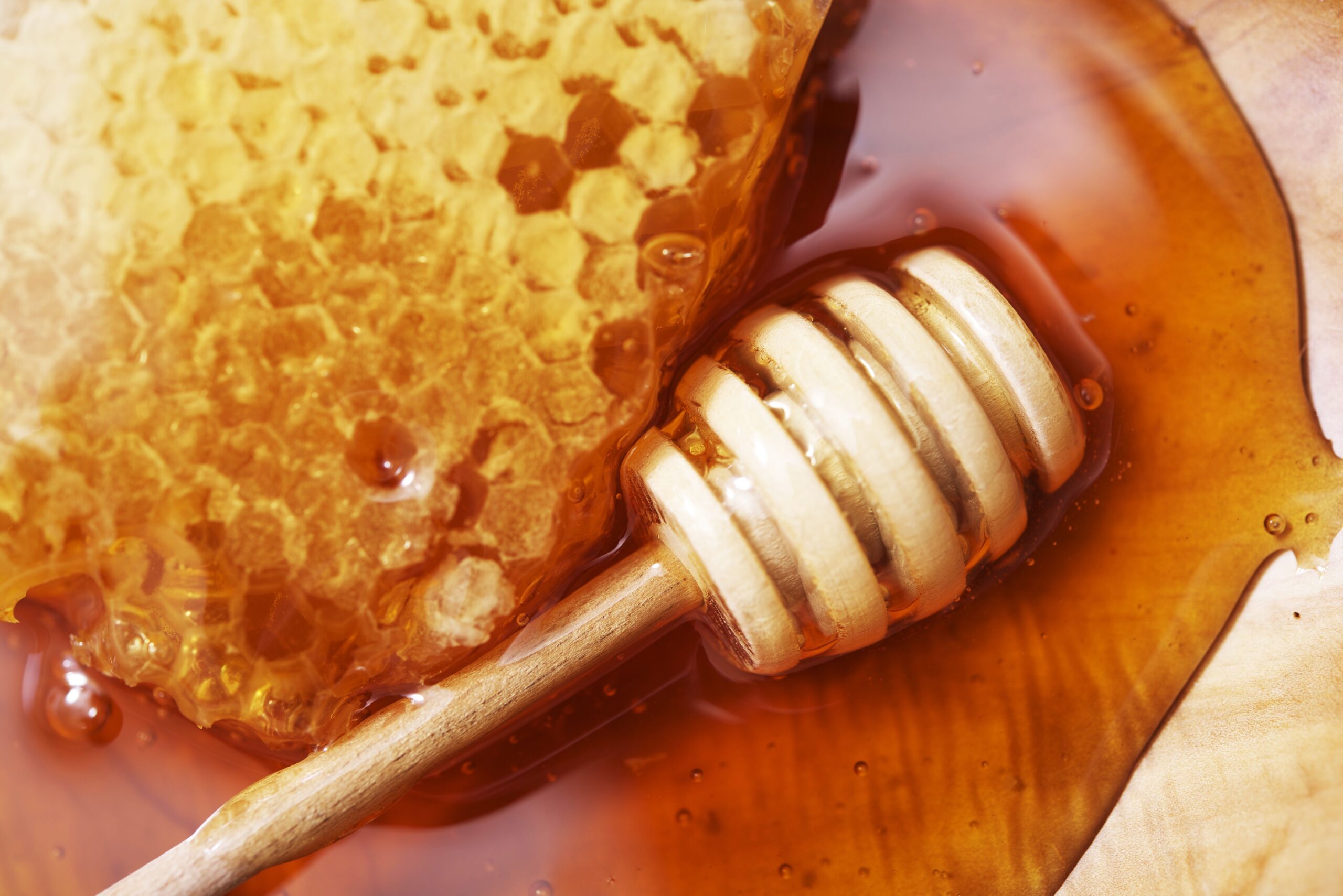 La dieta del miele