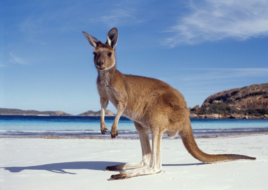 Australia