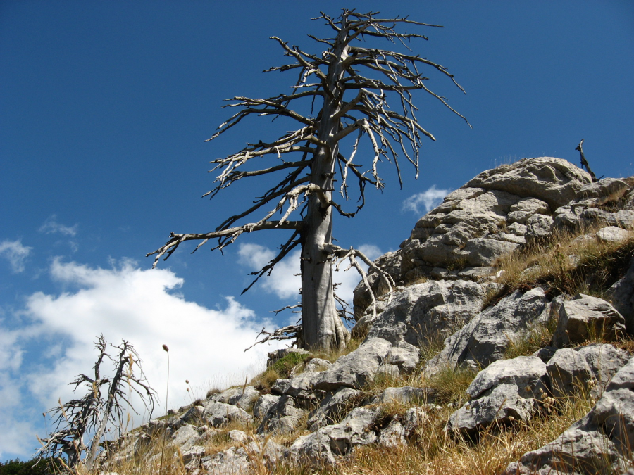 parco_pollino_visitare_1