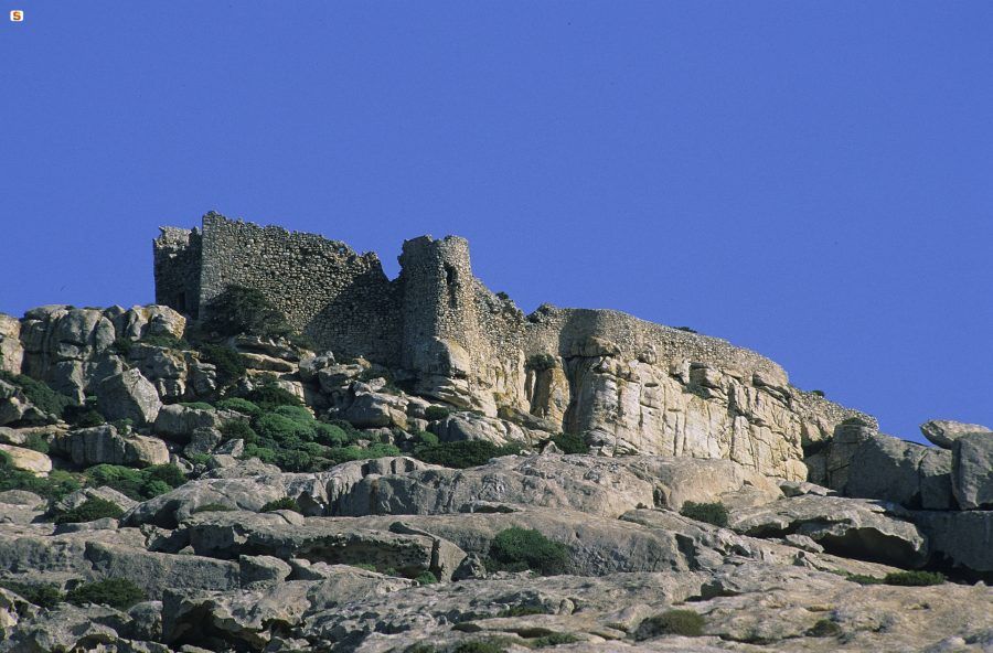 asinara_1