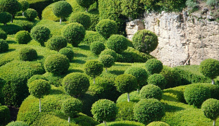 Giardini Marqueyssac