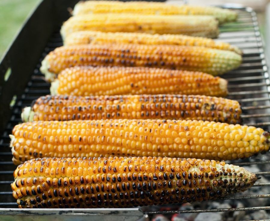 Cuocetele sul barbecue