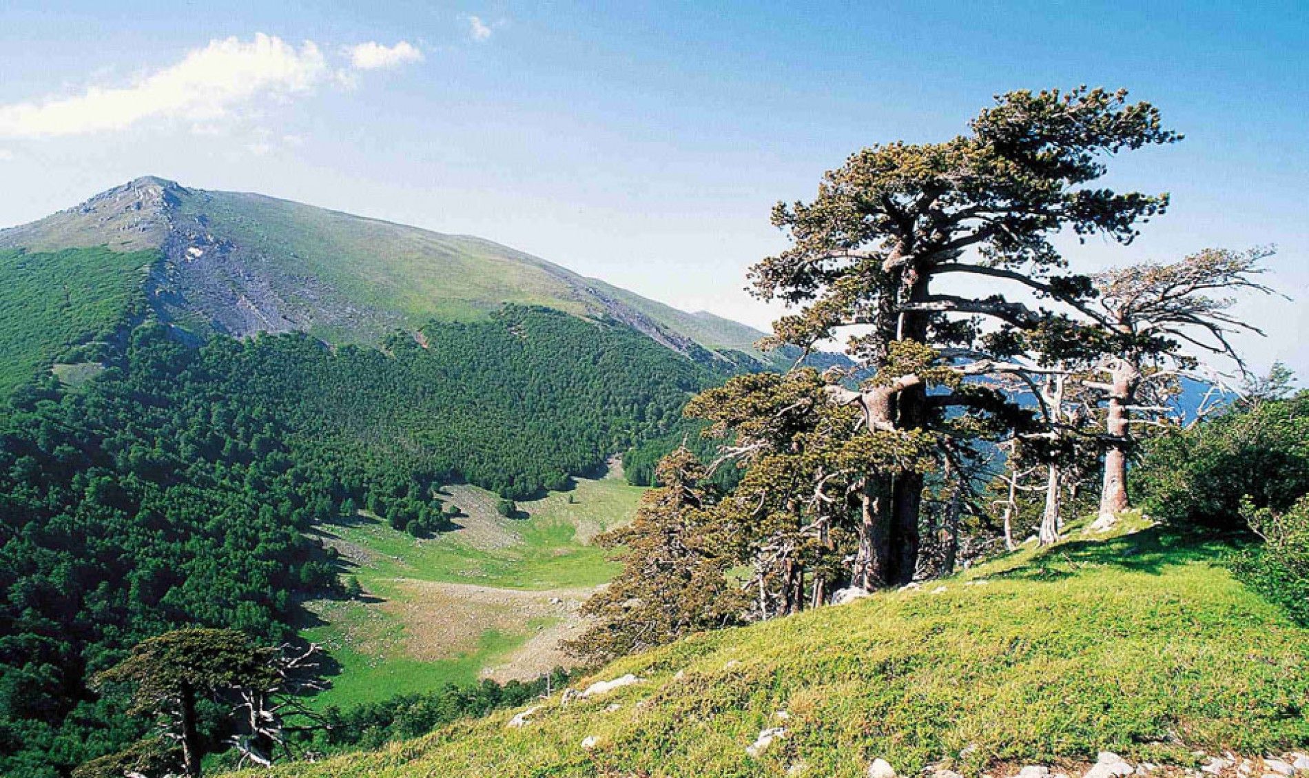 Fine settimana al Parco nazionale del Pollino: cosa vedere