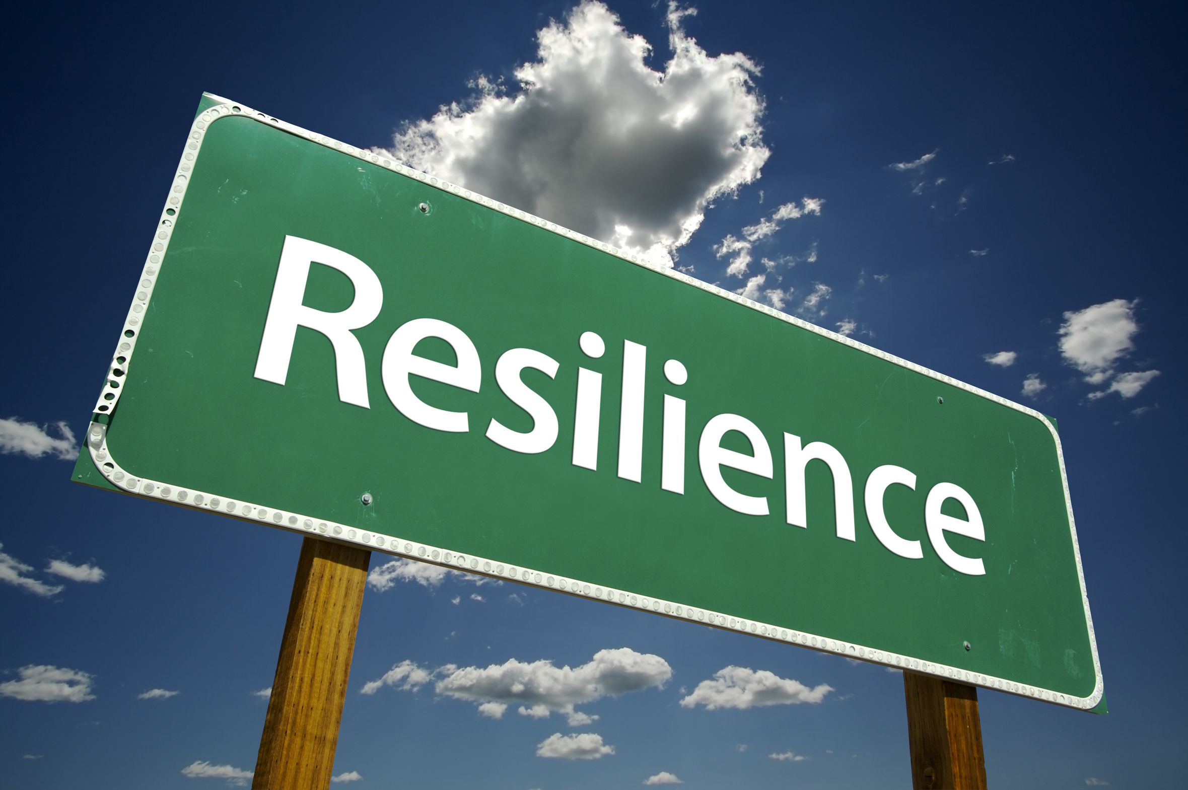 Che cos’è veramente la resilienza?