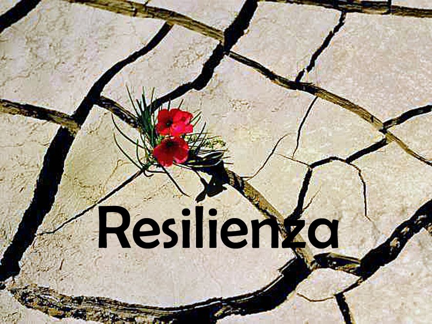 Resilienza, come reagire alle avversità