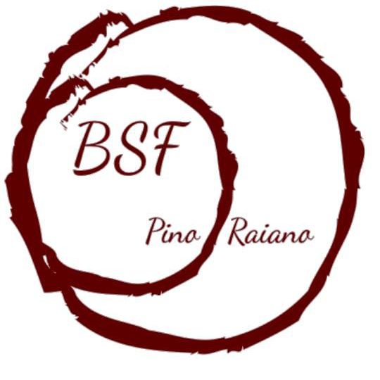 Beauty Salon Pino Raiano