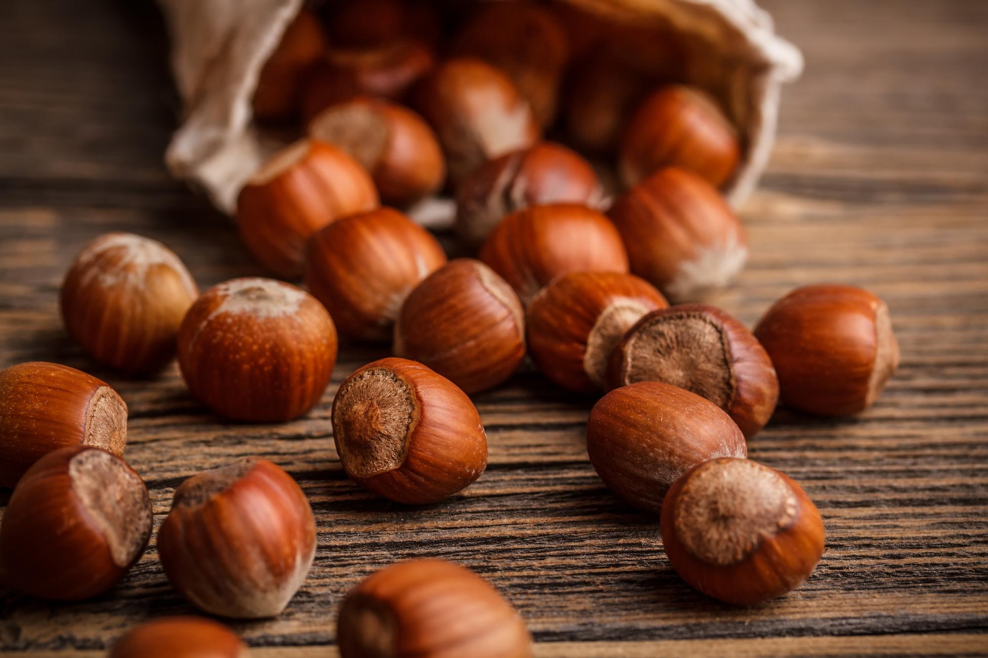 Perchè dovresti mangiare le nocciole