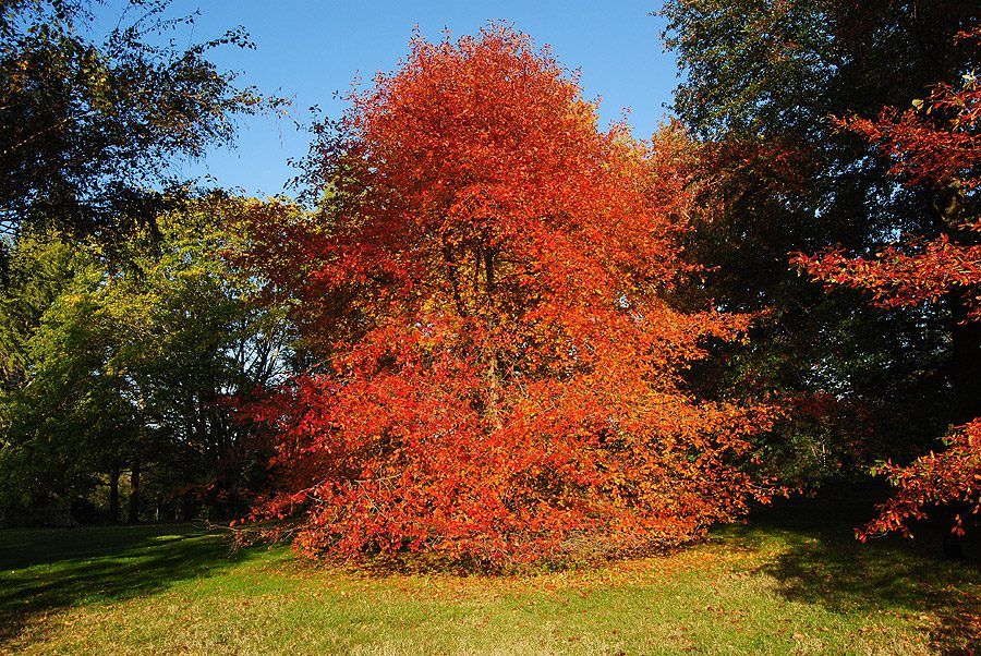 Parco di San Liberato