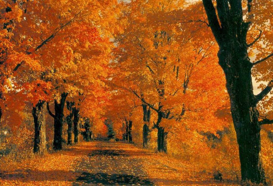 Autunno in Calabria