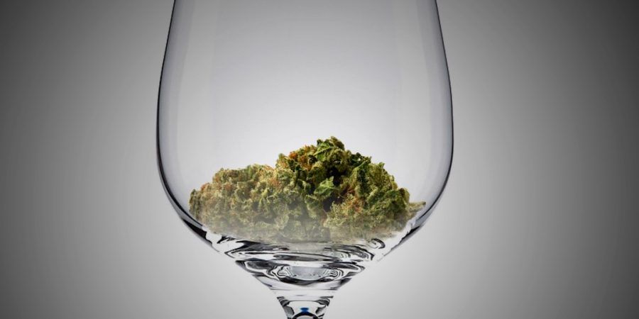 Sommelier della cannabis