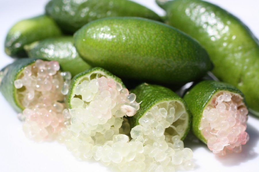 Finger lime