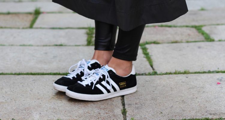 differenza campus e gazelle