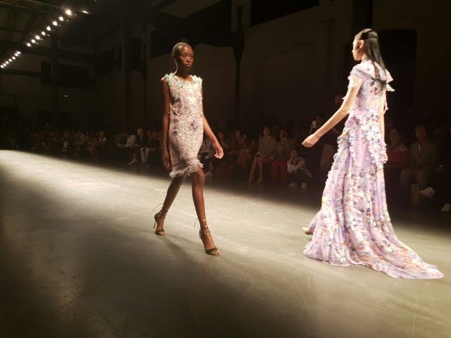 Piccione.Piccione a Milano Moda Donna primavera-estate 2017
