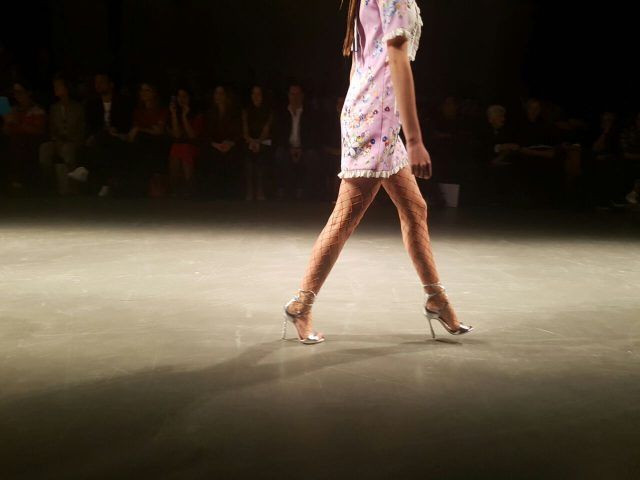 Piccione.Piccione a Milano Moda Donna primavera-estate 2017