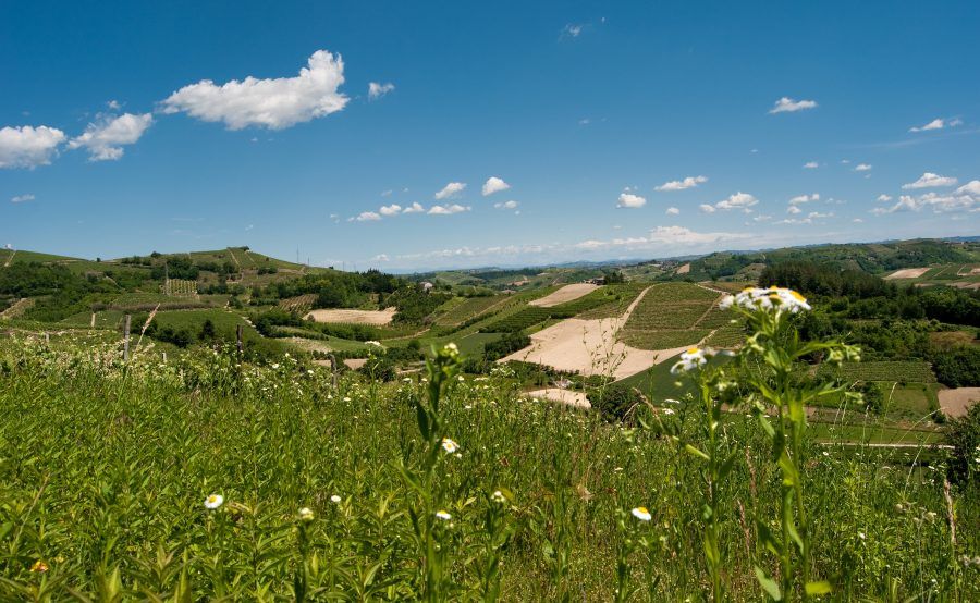 La strada delle Langhe e del Roero